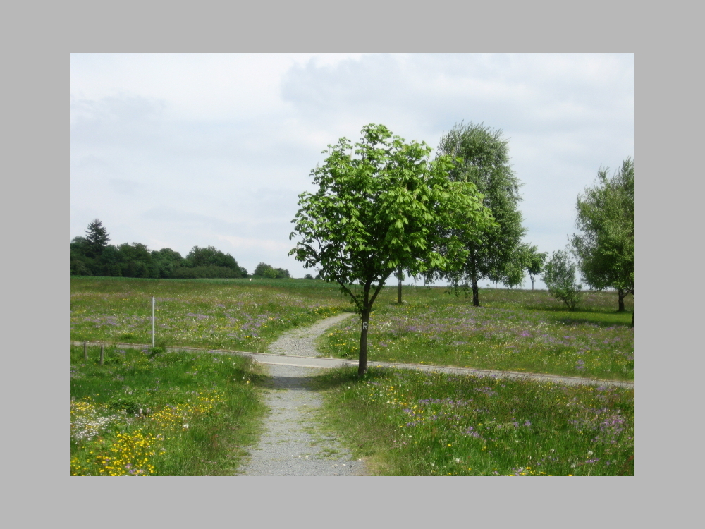 Landschaft mit Wegekreuzung