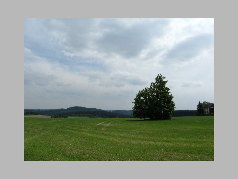 Landschaft