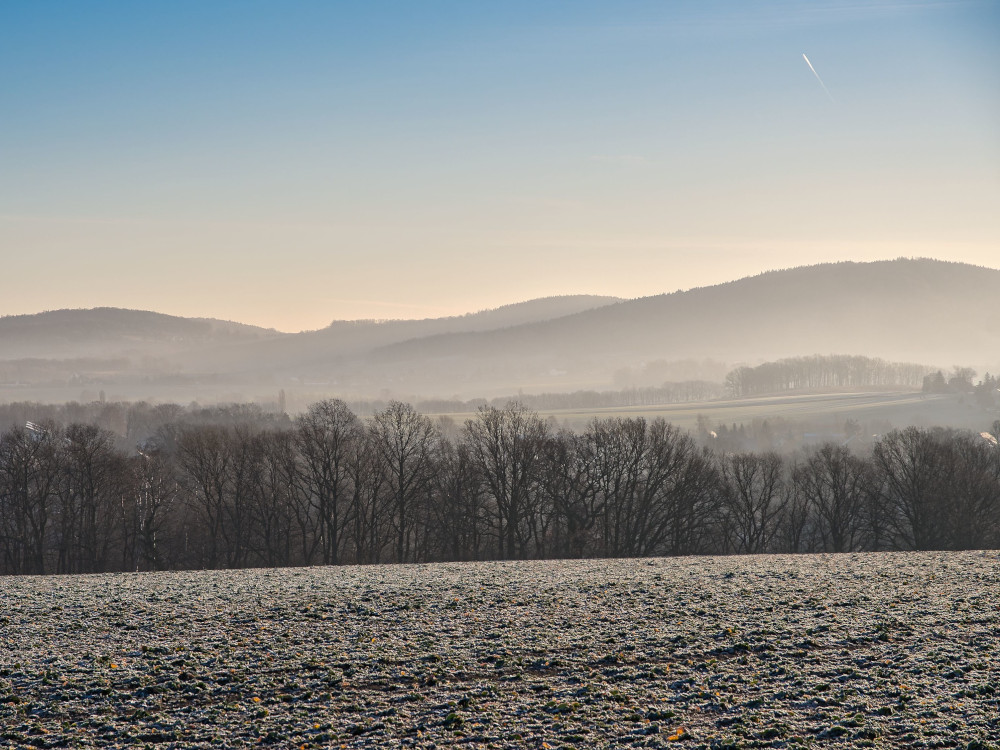 Winterlandschaft ohne Schnee